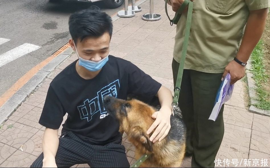 警犬|新闻8点见丨搁浅瓜头鲸救援72小时全记录：终将回归自然