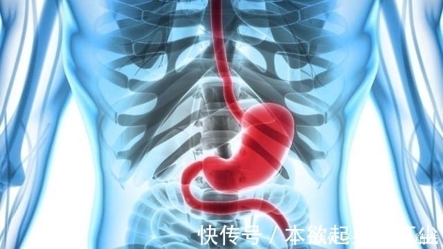 西兰花|想养胃，多吃2种蔬菜就够了，“刮走”幽门螺杆菌，胃病不攻自破