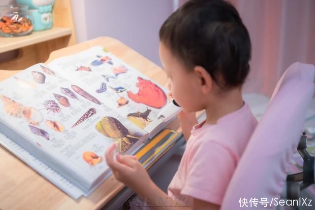 汉字|家长孩子一起教，有道词典笔K3使用体验