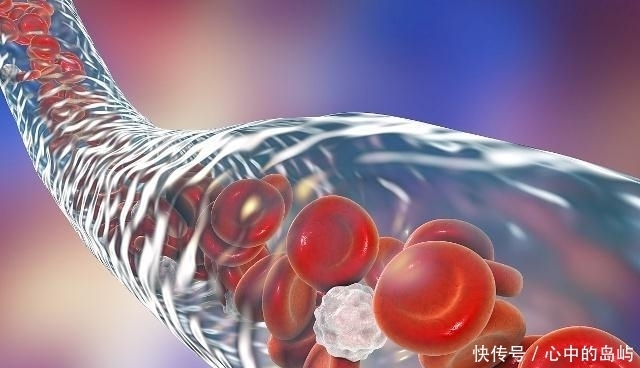  泡水喝的话|丹参和三七哪个通血管比较好？