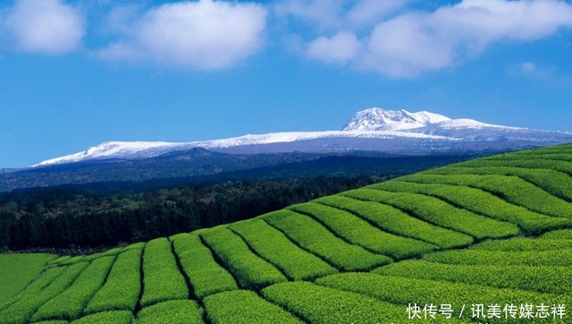 美炸！误入现实版的“桃花源”，这才是早春的正确打开方式