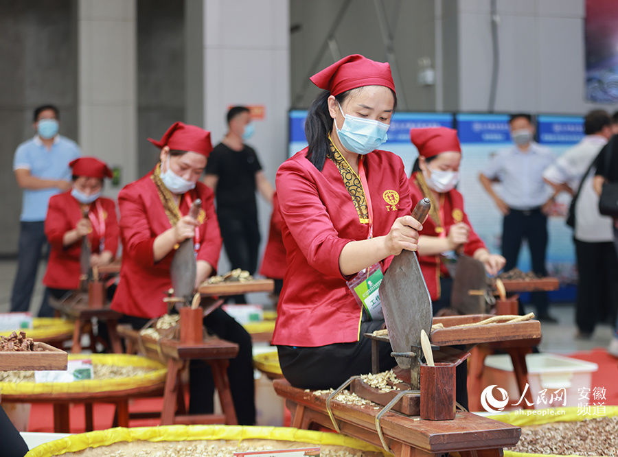 中药|走进国际（亳州）中医药博览会 感受传统文化魅力
