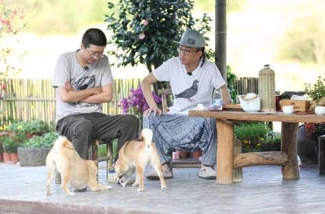 向往的生活|陈赫与李诞参加《向往》希望多待一期,惨遭黄磊拒绝,原因超搞笑