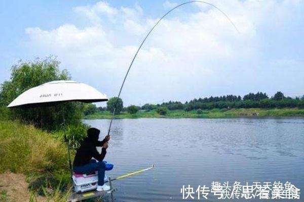 窝料|钓不到大鱼，未必是鱼少，可能方法不对试试这几招，一钓一个准
