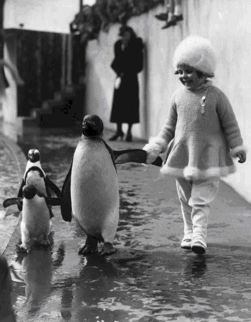 ps|29张没有ps的历史照片,看完第1张就泪奔了………