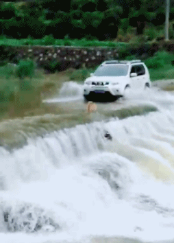 |搞笑GIF:哥们,你也是够了,无形中又伤害了一条无辜的生命