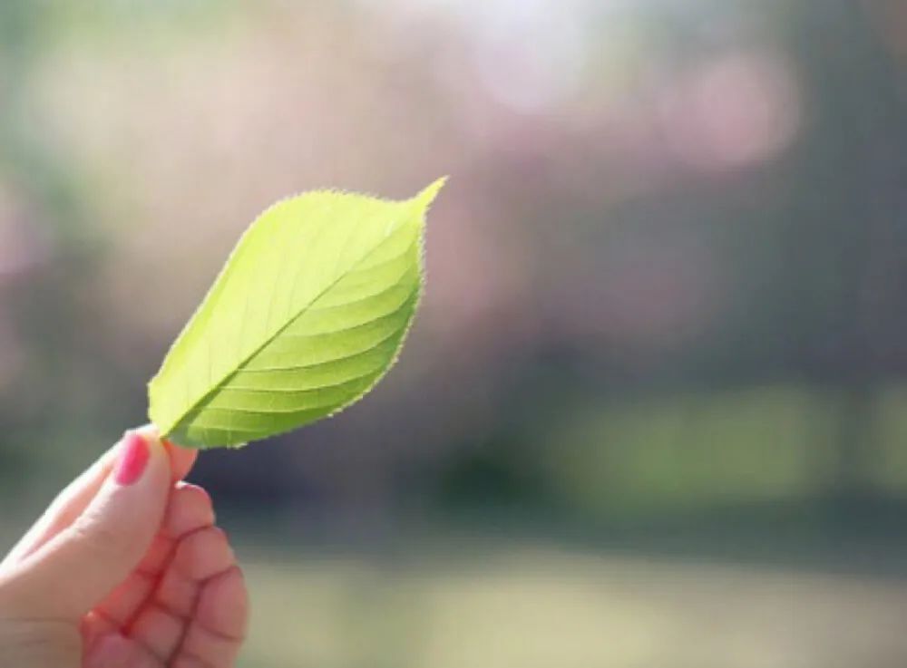 天涯!指尖微凉的记忆,如你留下爱的种子