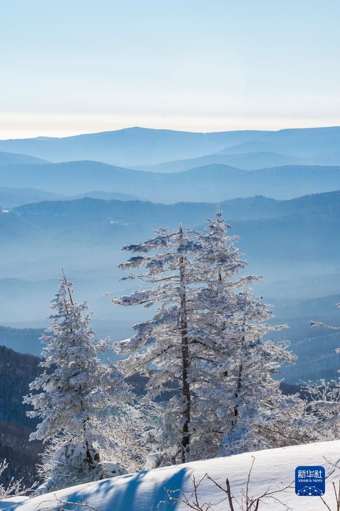 冬奥|新华全媒+丨冬奥临近 冰雪运动氛围浓——探访黑龙江省亚布力滑雪旅游度假区