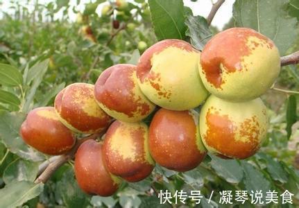 水果|女性若不想被叫“老女人”,4种水果要忌口,1种“零食”可多吃