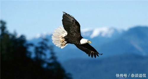 长途跋涉|俗语说:老不泄残精,少不食壮火,是什么缘故,老祖宗的养生法