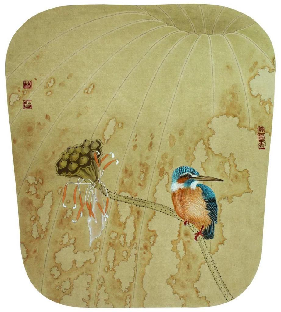  分染|龚雪青《翠鸟》设色步骤