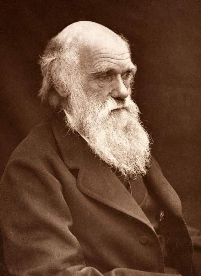 创造|他将明朝王爷的名字连起来，创造了一张化学元素周期表，沿用至今