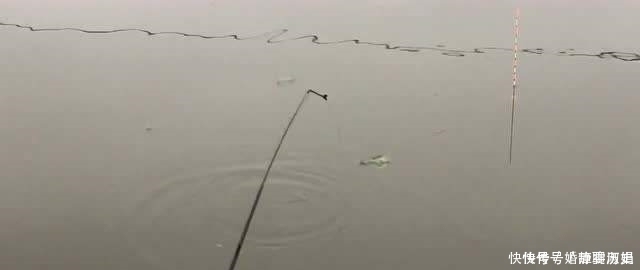 鱼儿|钓鱼二十年,如今才晓得,这三种鱼情的用漂“办法”,学会别外传