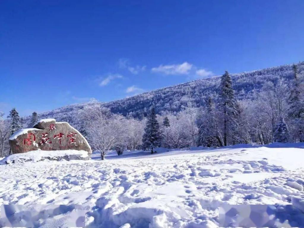 森林公园|江城子 ? 踏雪森林公园