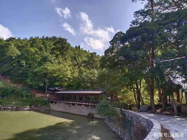 秧田村|仙居县秧田村，大山深处藏官帽，千年古柏历经坎坷仍伟岸