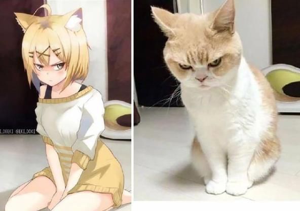 娘化|当三次元闯进二次元,本以为动物娘化已经很萌,谁知运动员更惊艳