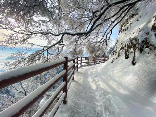 老君山|美炸了! 仿若天上宫阙, 雪后老君山雾凇云海, 琼楼玉宇美成仙境