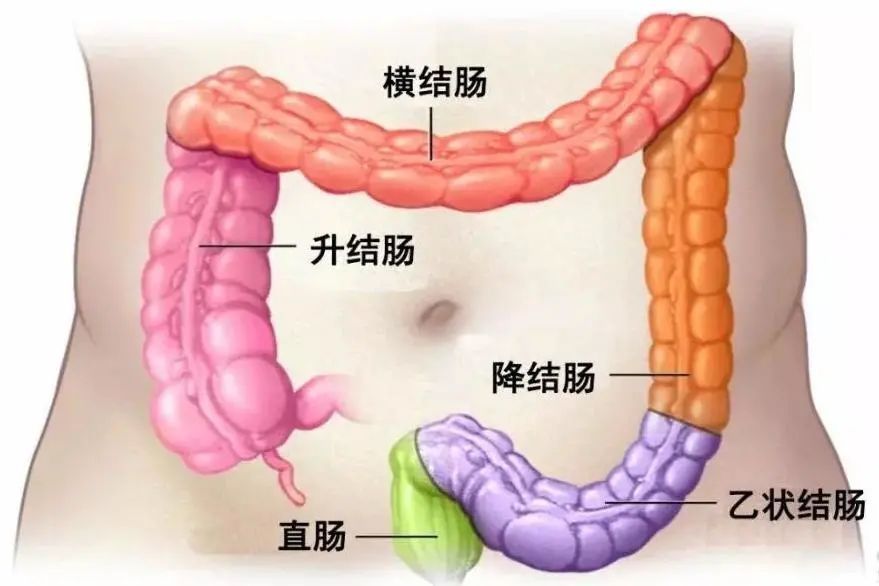 瞿大爷|4小时40分钟，拿下两处恶性肿瘤