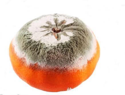 水仙碱|卫生组织宣布 癌症的4个“帮凶”已现身, 再喜欢吃也要丢掉