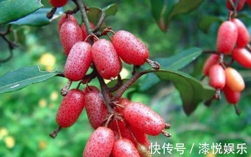 好处|想长寿要多吃3种食物，营养丰富、滋补身体，好处多多！