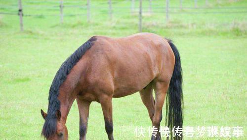 真正的朋友$俗语“君子之交淡如水”,下半句才是精髓,可惜很少有人知道!