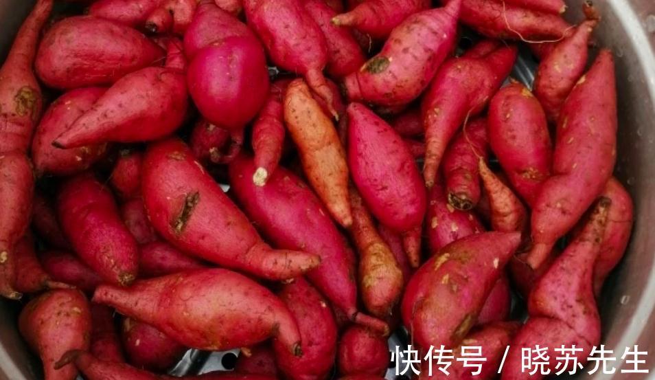 晒红薯干,牢记这2个小技巧,红薯干红润不干硬,香甜软糯