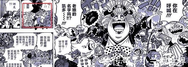 三人组|海贼王娜美被四皇bigmom抽走寿命，路飞给你3秒，还回来