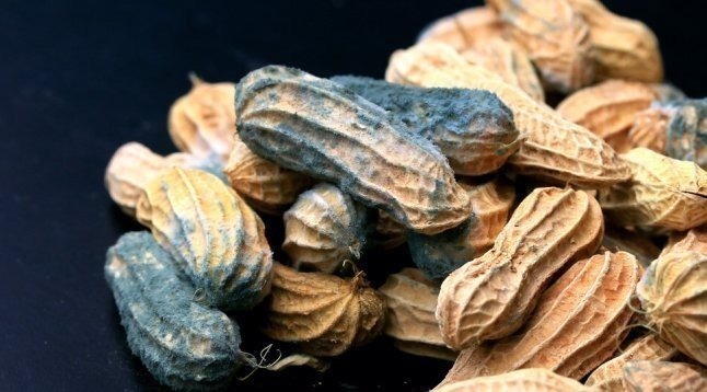 孙燕|92岁孙燕院士,钻研癌症60年,提醒:3种致癌食物千万别碰