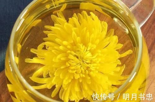 燃脂|泡菊花茶喝,别忘加一宝,养肝明目,睡眠好了,还排毒燃脂