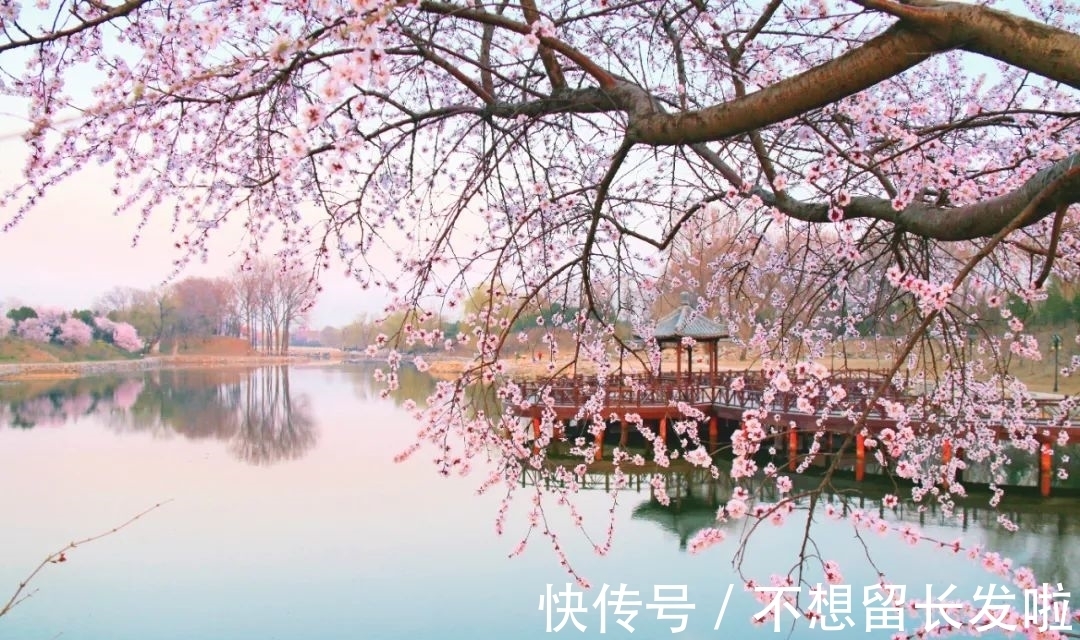 眼前人!晏殊最经典的10首宋词,语言美,意境美,每一首都值得背诵