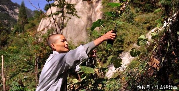 多达|终南山“隐士”多达上万,当真都是看破红尘?隐居之地沦为做秀场