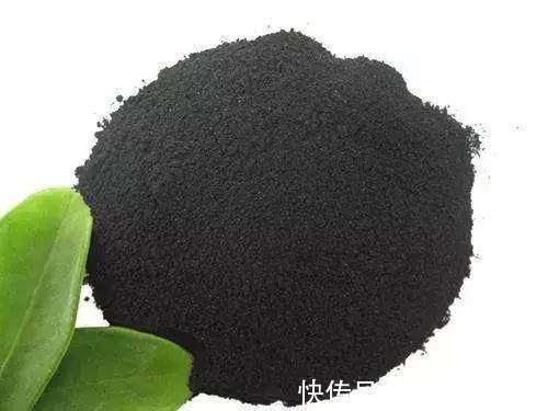 只要1样东西,保你的花从不烂根、黄叶,长得还比别人快10倍!