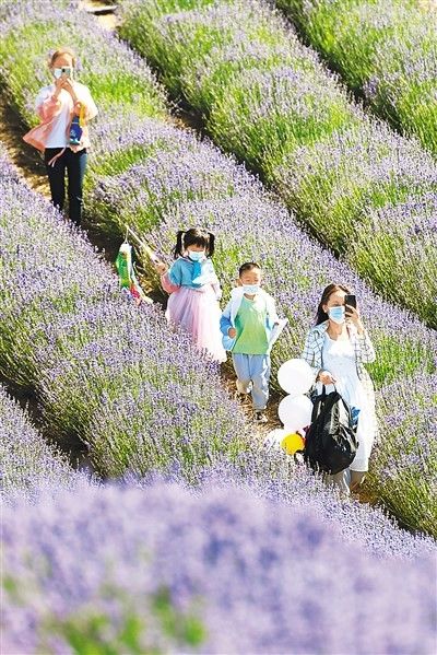 假期|端午节假期国内出游8913．6万人次