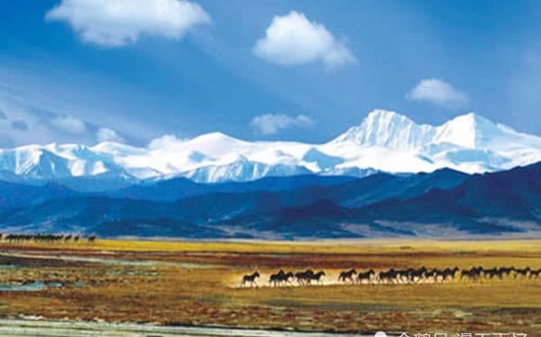 平方公里|泯灭在历史中的西域小国,维吾尔族建立的国度,起源于汉朝!名曰:且末