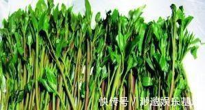 罂粟|这种植物是醒脑圣药,但却也是“新型罂粟”,很多人竟然当蔬菜吃