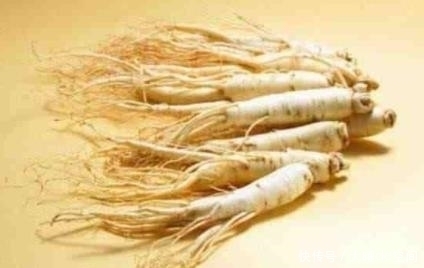 好处|白萝卜的好处非常多,但是不能和它们同时吃,你知道吗?