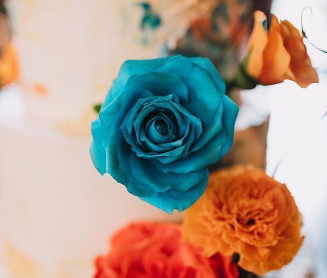 这些蛋糕的设计者,告诉你什么叫真正的蛋糕