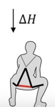 膝关节|这套“人造肌腱”装备，可保护你的老腰｜Science子刊