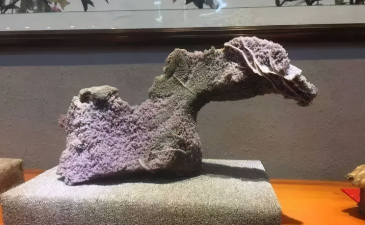 资深玩家告诉你,精品奇石三个非买不可的理由