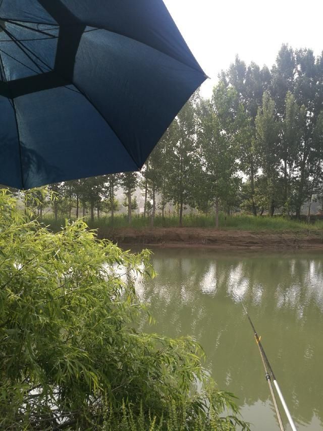 钓法|白花花米饭是个好东西,谈夏季米饭粒的妙用