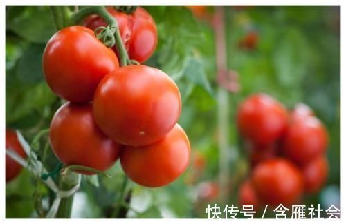 食用|爱吃西红柿的人，健康“找上”你，但和1物相克，现在知晓也不迟