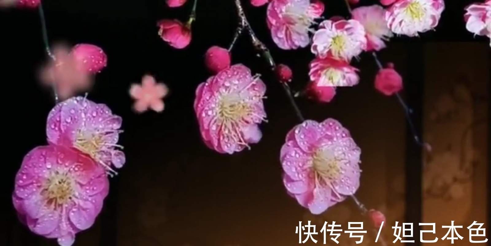 满庭芳&秦观一首兼具音韵美、诗意佳、画境幽的压卷小令,读之如飞花入梦