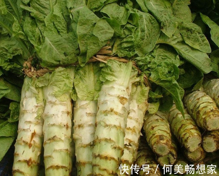 蔬菜|4月宁可不吃肉,也要多吃6种蔬菜,口感鲜嫩营养高,便宜又应季