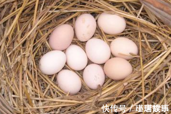 营养成分|一个鸡蛋,一家人住了院,鸡蛋的4种错误吃法,早了解早受益