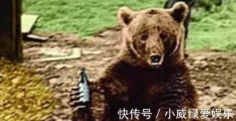 铜雀台赋|夫妻生活多久一次最好?张医生举例说明,简直太形象了!