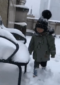 |搞笑GIF趣图:你们确定是来结亲的吗,怎么感觉不像