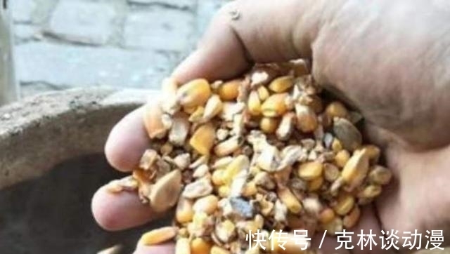 野钓|不是鲤鱼不咬钩，只是多数人没试过这钓法，莫泄露，现在用最合适