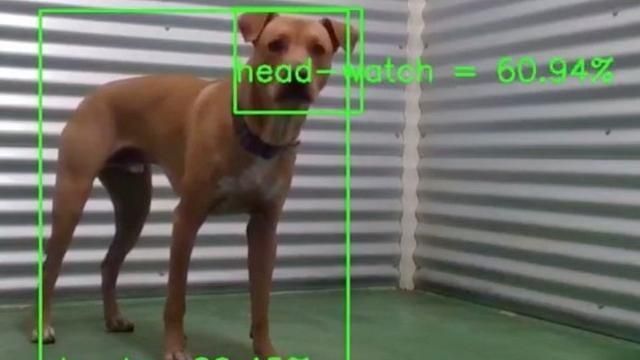 参与|CompanionPro:无需人参与的狗狗AI训练机器