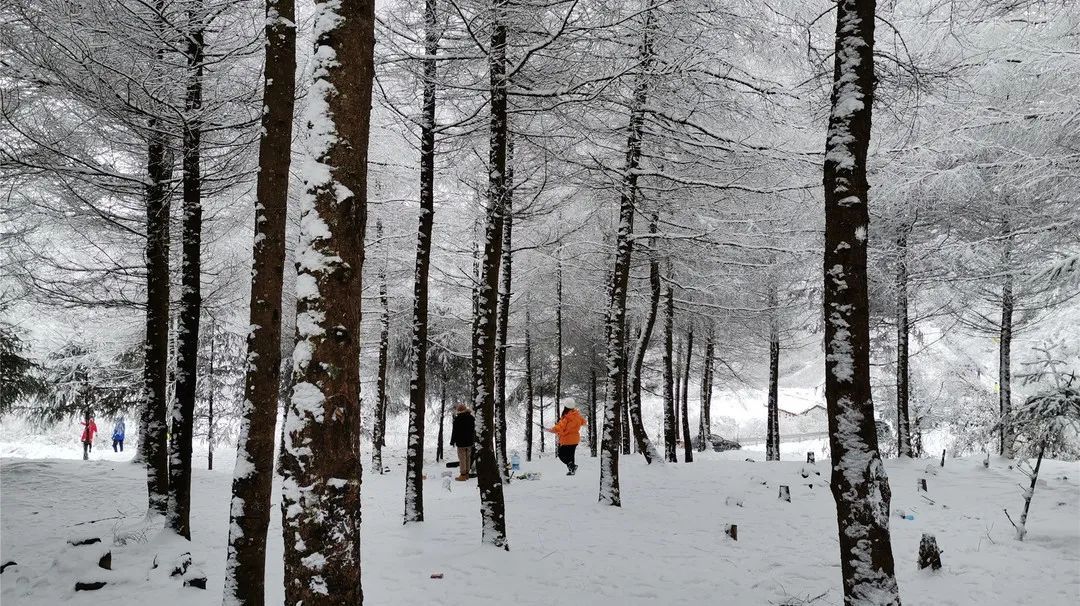 泥巴山解锁“雪景模式”！游客直呼过瘾！