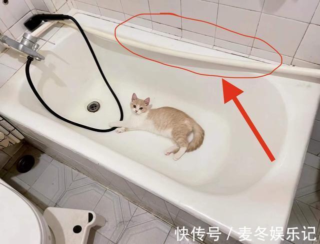 花洒|入住后就知道,卫生间“4不装”有多爽,建议提前收藏